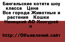 Бангальские котята шоу класса › Цена ­ 25 000 - Все города Животные и растения » Кошки   . Ненецкий АО,Хонгурей п.